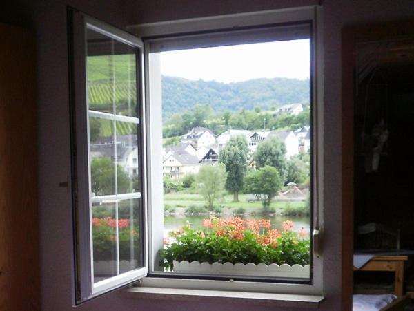 Mosel Panorama Apartment เซลล์อันแดร์โมเซล ห้อง รูปภาพ