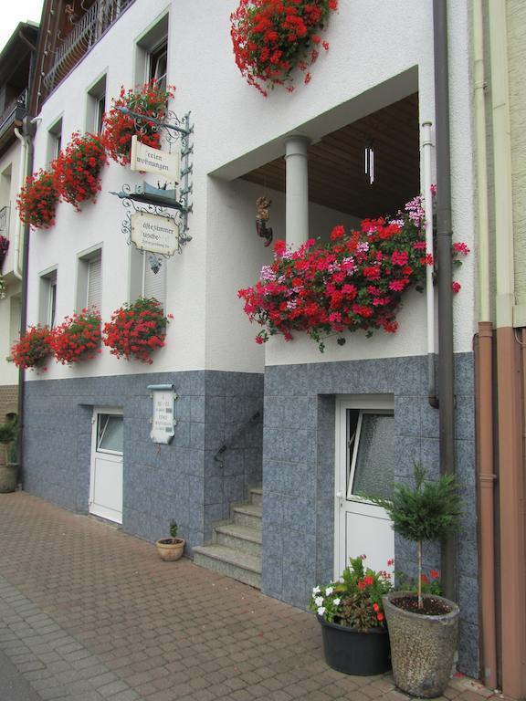Mosel Panorama Apartment เซลล์อันแดร์โมเซล ภายนอก รูปภาพ