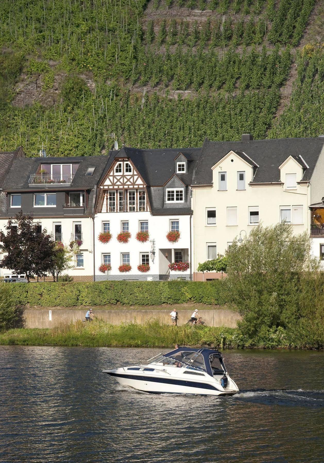 Mosel Panorama Apartment เซลล์อันแดร์โมเซล ภายนอก รูปภาพ