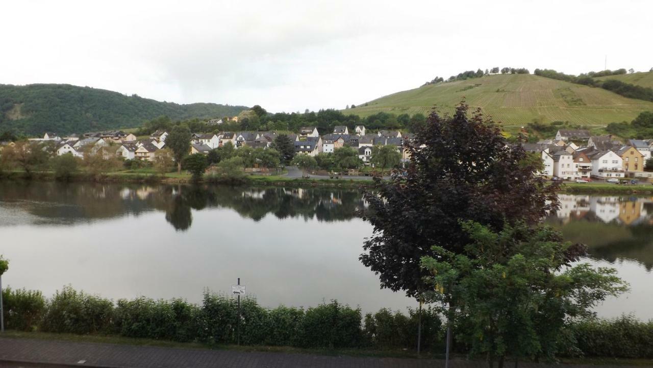Mosel Panorama Apartment เซลล์อันแดร์โมเซล ภายนอก รูปภาพ